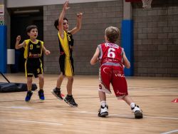 U10BProv_NA182113_013.jpg