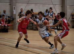 U16Reg_AW116043_025.jpg