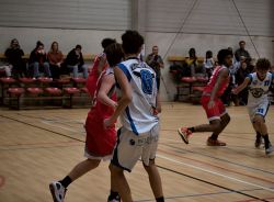 U16Reg_AW116043_017.jpg