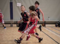 U12AProv_AM_NC021_012.jpg