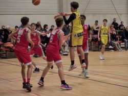 U16Reg_AW149006_018.jpg