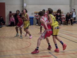 U16Reg_AW149006_031.jpg