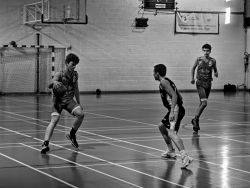 U16Reg_NA330360_007.jpg