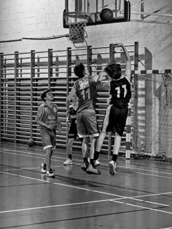 U16Reg_NA330360_023.jpg