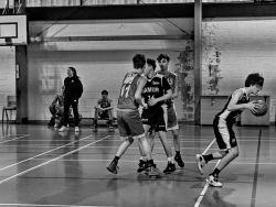 U16Reg_NA330360_001.jpg