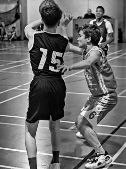 U16Reg_NA330360_022.jpg