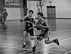 U16Reg_NA330360_010.jpg