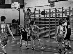 U16Reg_NA330360_015.jpg