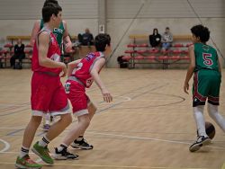 U16Prov_NA151153_009.jpg